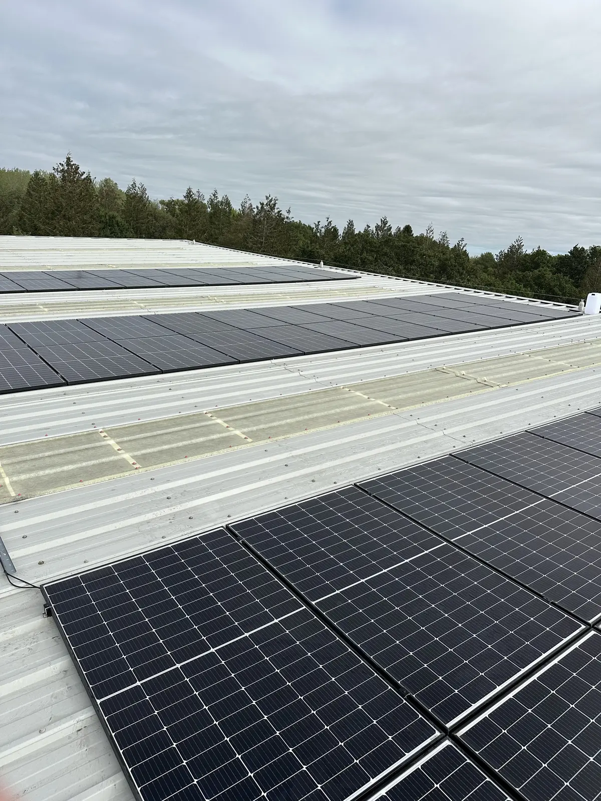 A large solar panel installation cleaned by CleanScape